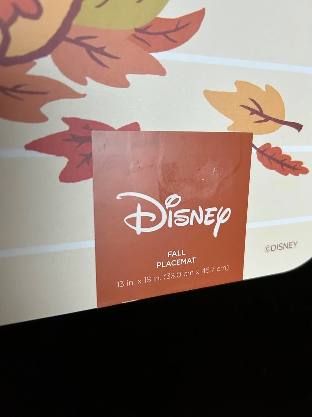 NWT Disney's Mickey and Minnie Rigid Placemats Celebrate Together™ Fall